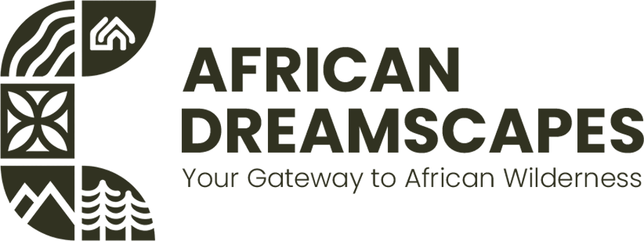 African Dreamscapes