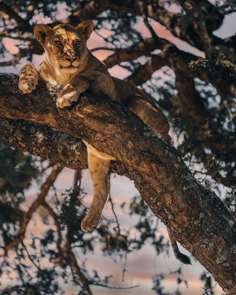 Serengeti National Park