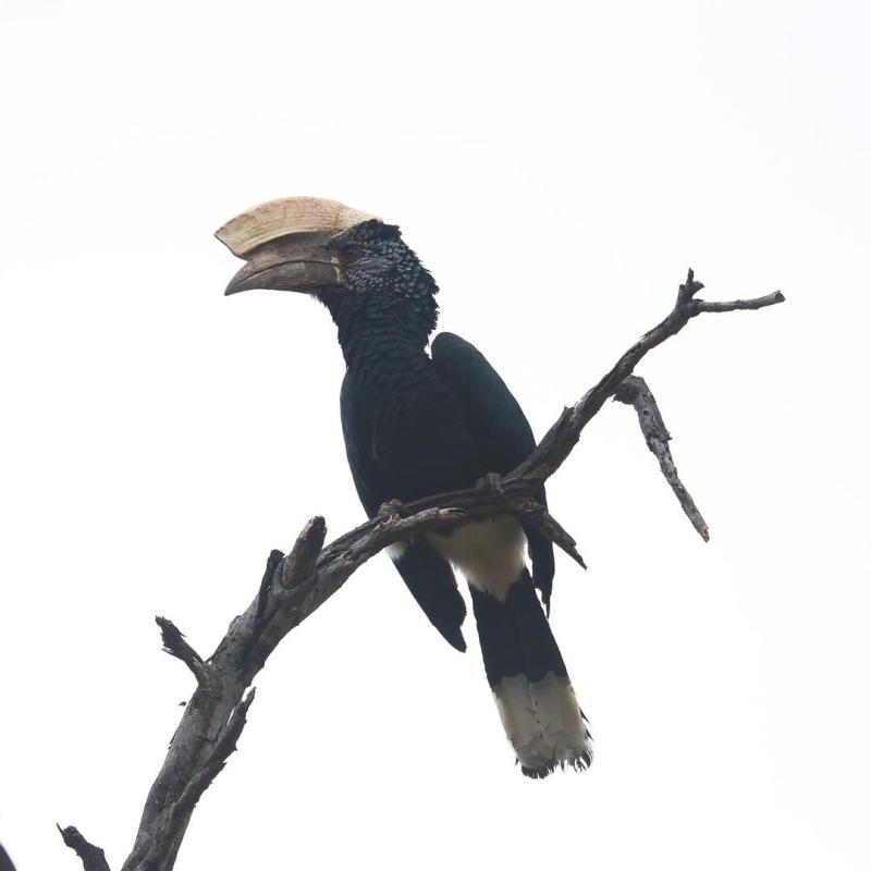 Lake Manyara National Park