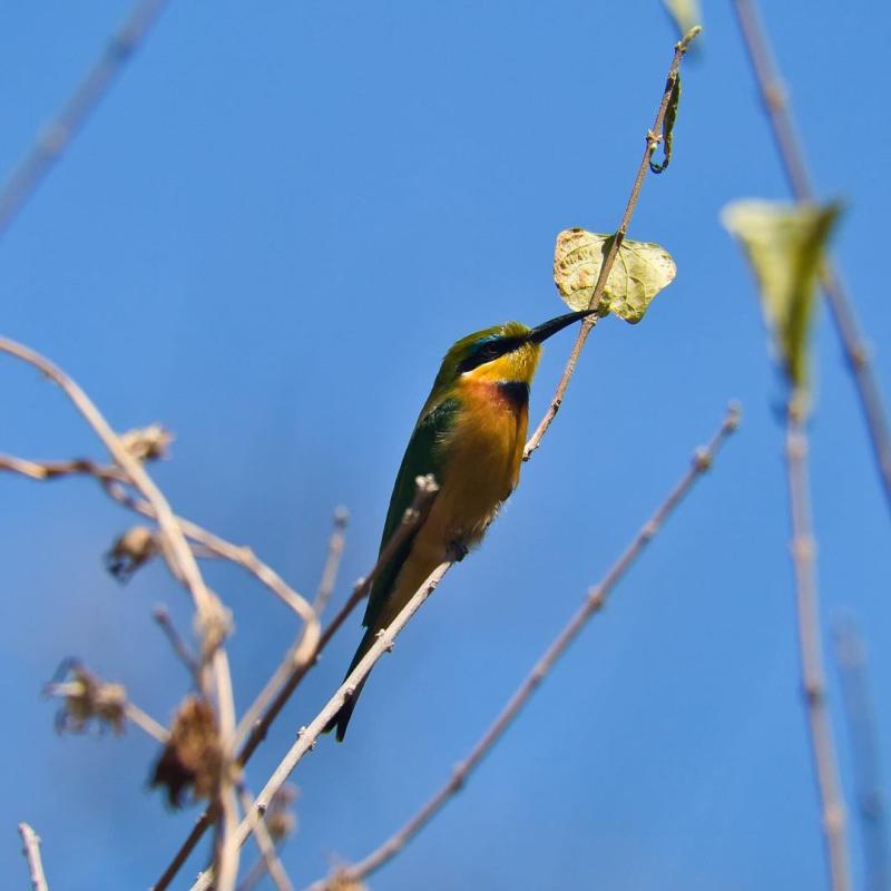 Lake Manyara National Park