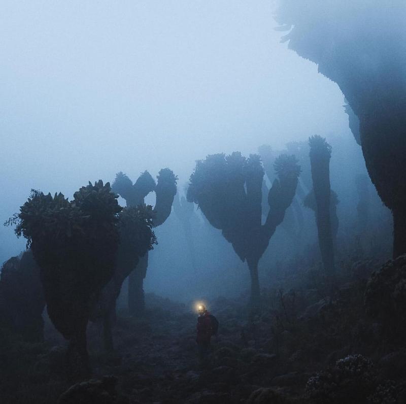 Kilimanjaro National Park